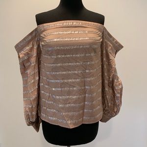 NWT Off the shoulder long sleeve top